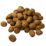 walnut, walnuts, nuts, nut, walnut, walnut, walnut, walnut, walnut, walnuts, walnuts, nuts