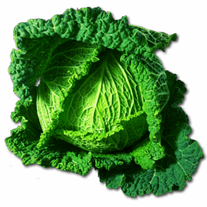 cabbage, savoy, vegetables, green, healthy, meal, food, savoy cabbage, cabbage, cabbage, cabbage, cabbage, cabbage