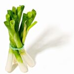 garden herbs, culinary herbs, herbs, medicinal herb, medicinal herbs, aromatic herbs, spices, medicinal plant, aromatic plant, spring onions, leek, onions, isolated, cut out, leek, leek, leek, leek, leek