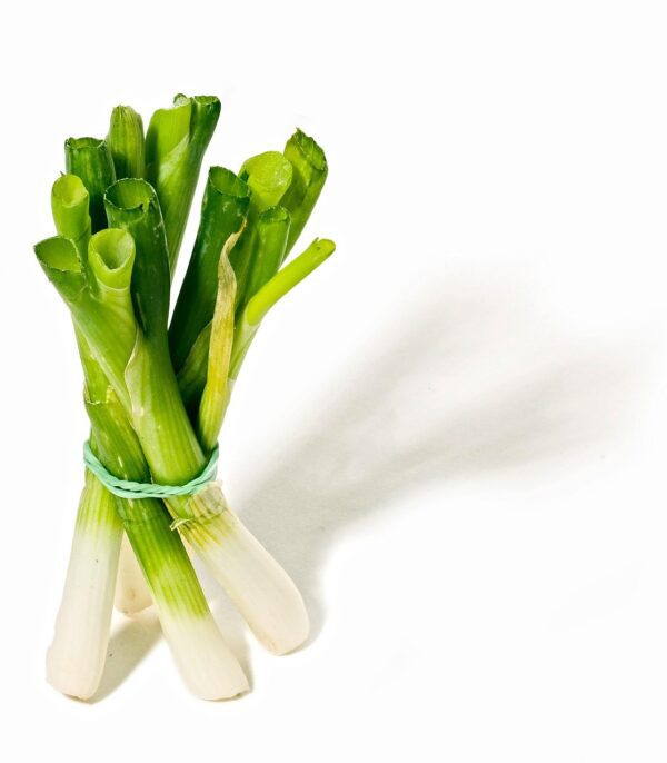 garden herbs, culinary herbs, herbs, medicinal herb, medicinal herbs, aromatic herbs, spices, medicinal plant, aromatic plant, spring onions, leek, onions, isolated, cut out, leek, leek, leek, leek, leek