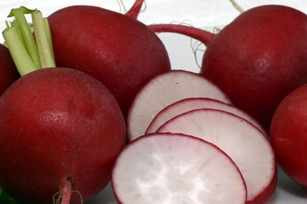 radish, vegetables, meal, food, healthy, red, fresh, raw