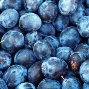 plum, fruit, blue, purple, sweet, plant, berries, blue plant, blue fruits, nature, blue plants