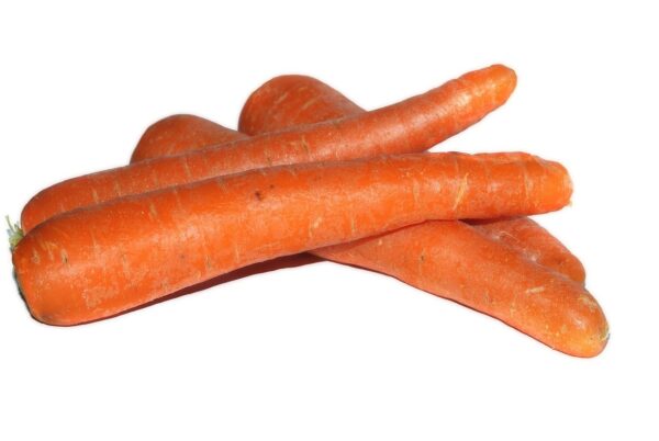 carrot, carrots, plant, nature, isolated
