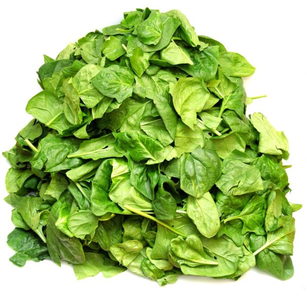 spinach, vegetables, green, nourishment, vitamins, vegan, healthy, naturally, iron, spinacia, mineral, fresh, health, to eat healthy food, food, spinach, spinach, spinach, spinach, spinach