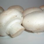 champion, pilz, agaricus, agaricus, agaricus, agaricus, agaricus, agaricus