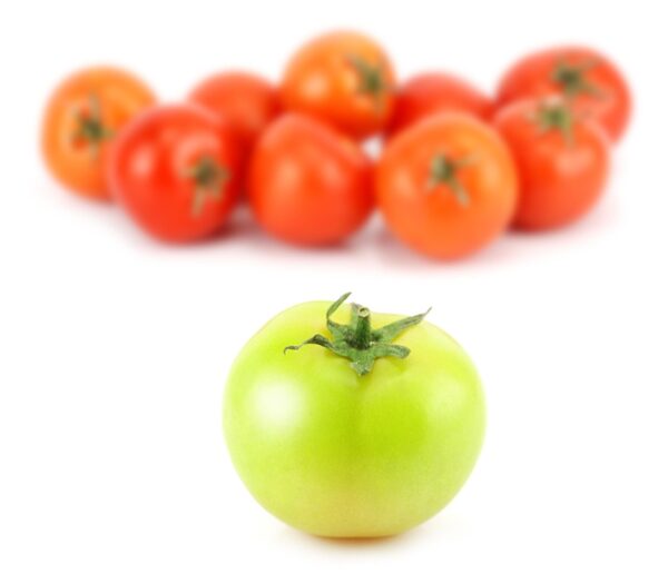 tomato, food, vegetable, green, red, white background, concept