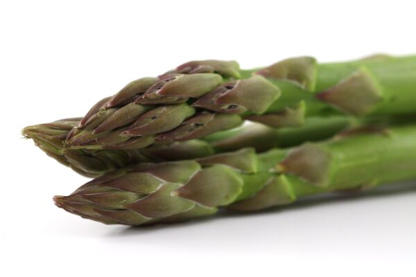 appetite, asparagus, food, green, healthy, meal, stalk, succulent, vegetable, asparagus, asparagus, asparagus, asparagus, asparagus