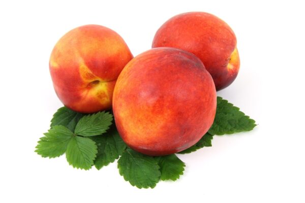 food, fresh, fruit, isolated, leaf, nectarine, organic, peach, red, nature, ripe, vitamin