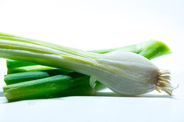 spring onion, onion, vegetables, raw, food, vitamins, close up, meal, healthy, cook, vegetable onion, onions, market, cut open, leek, half, macro, half onion, yummy, vegetarian, garden, nature, summer bulb, edible