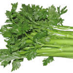 celery, vegetable, food, vegetarian, cooking, healthy, diet, cut out, isolated, celery, celery, celery, celery, celery