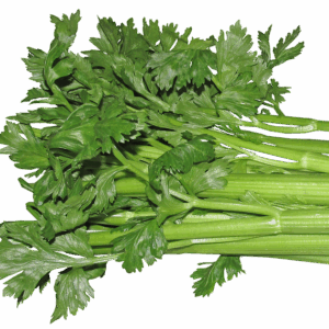 celery, vegetable, food, vegetarian, cooking, healthy, diet, cut out, isolated, celery, celery, celery, celery, celery