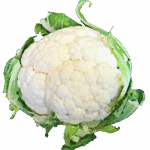 cauliflower, vegetable, healthy, food, cooking, vegetarian, cut out, isolated, plant, garden, cauliflower, cauliflower, cauliflower, cauliflower, cauliflower