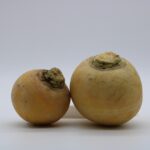 turnip, fall, vegetable, balls, gold, turnip, turnip, turnip, turnip, turnip