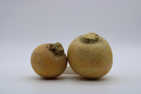 turnip, fall, vegetable, balls, gold, turnip, turnip, turnip, turnip, turnip