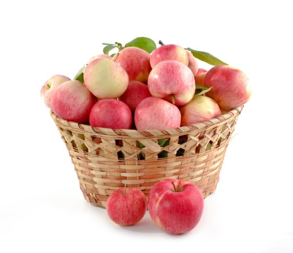 apples, basket, fruits, apple basket, fruit basket, red apples, fresh, ripe, harvest, produce, organic, fresh produce, healthy, food, isolated, apples, apples, apples, apples, apples, basket, fruits, fruits, fruits