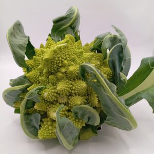 Bròquil romanesc (Unitat)