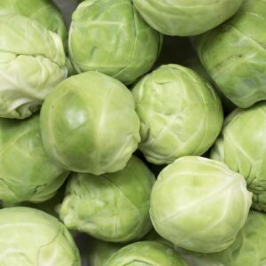 brussels sprouts, brussels cabbage, rosebuds, vegetables, kale, vegetable cabbage, cruciferous, cabbage sprouts, petals, healthy, rose, green, vitamins, brussels sprouts, brussels sprouts, brussels sprouts, brussels sprouts, brussels sprouts