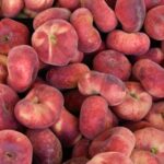 Préssec pla (bresquilla) (Kg) red apples in close up photography